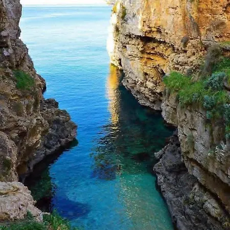 Manda Διαμέρισμα Πούλα
